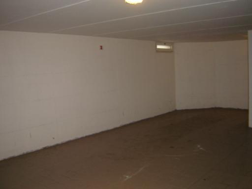 binzoni ceccarelli 2